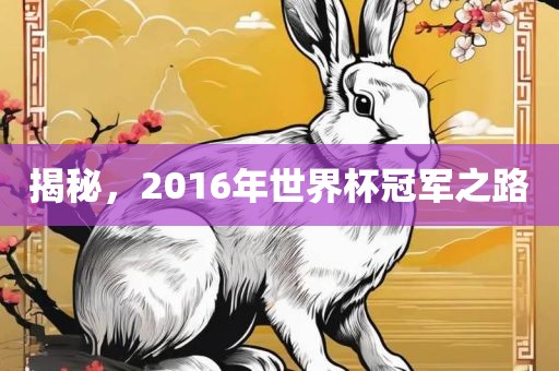 揭秘,2016年世界杯冠军之路