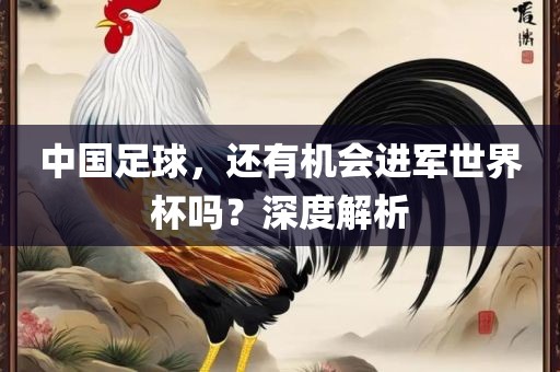 中国足球,还有机会进军世界杯吗?深度永康市本千工贸有限公司解析