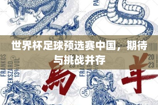 世界杯足球预选赛中国,期待与挑战并存