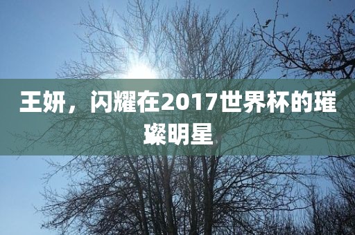 王妍,闪耀在2017世界杯的璀璨明星