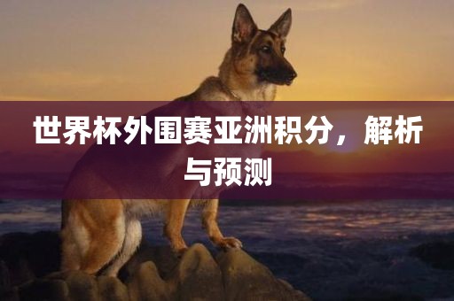 世界杯外围赛亚洲积分,解析与预测