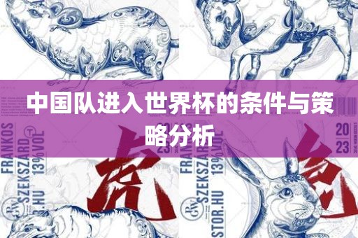 中国队进入世界杯的条件与策略分析永康市本千工贸有限公司
