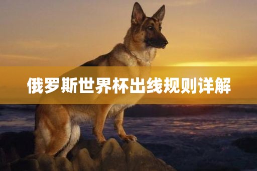 俄罗斯世界杯出线规则详解