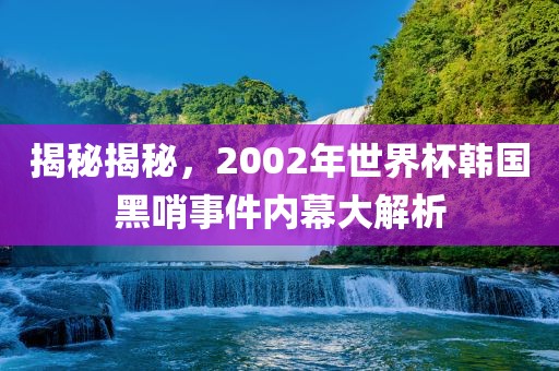揭秘揭秘,2002年世界杯韩国黑哨事件内幕大解析