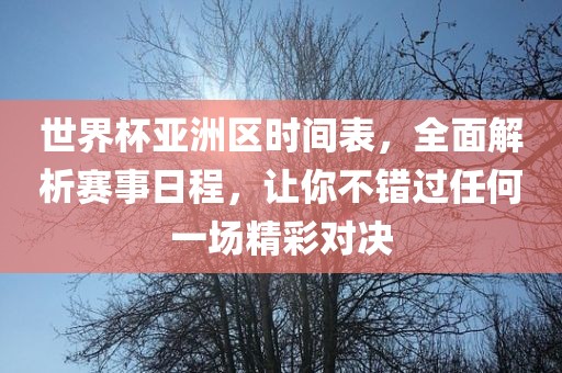 世界杯亚洲区时间表,全面解析赛事日程,让你不错过任何一场精彩对决