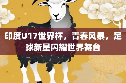 印度U17世界杯,青春风暴,足球新星闪耀世界舞台永康市本千工贸有限公司