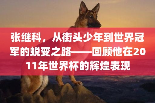 张继科，从街头少年到世界冠军的蜕变之路——回顾他在2011年世界杯的辉煌表现永康市本千工贸有限公司