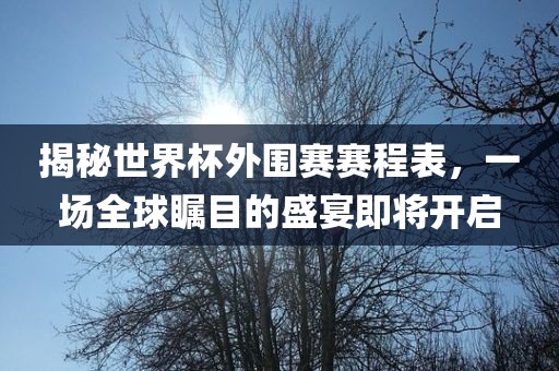 揭秘世界杯外围赛赛程表，一场全球瞩目的盛宴即将开启永康市本千工贸有限公司