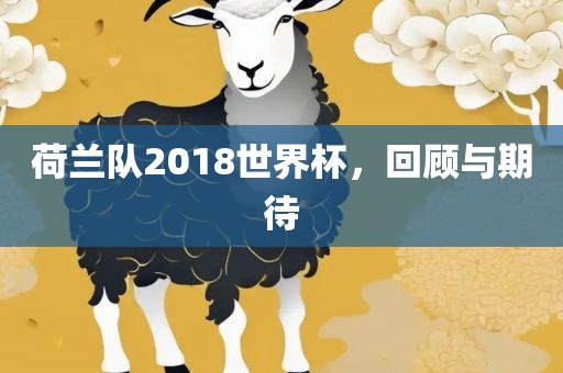 荷兰永康市本千工贸有限公司队2018世界杯，回顾与期待