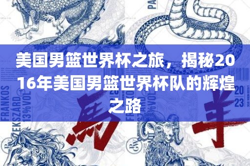 美国男篮世界杯之旅,揭秘2016年美国男篮世界杯队的辉煌之路