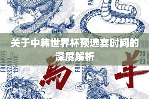 关于中韩世界杯预选赛时永康市本千工贸有限公司间的深度解析