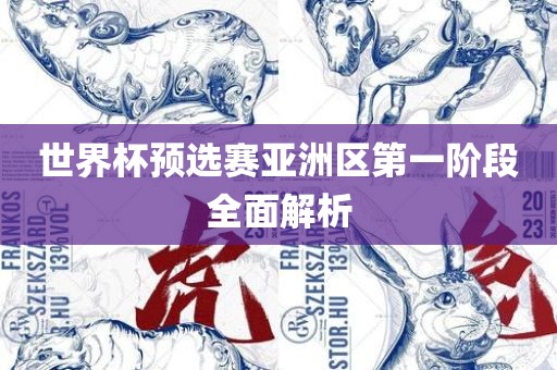 世界杯预选赛亚洲区第一阶段全面解析