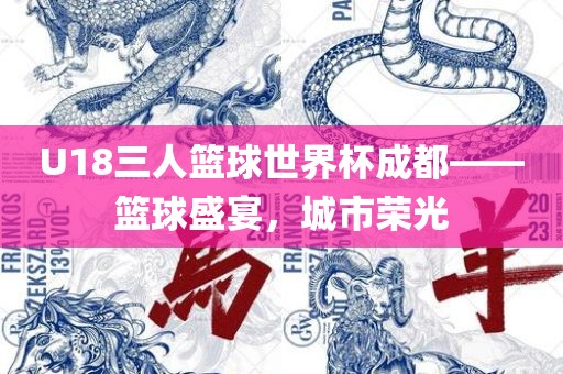 U18三人篮球世界杯成都——篮球盛宴,城市荣光永康市本千工贸有限公司