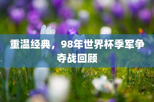 重温经典,98年世界杯季军争夺战回顾永康市本千工贸有限公司