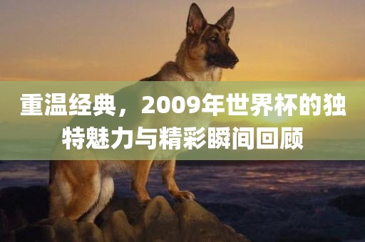 重温经典,2009年世界杯的独特魅力与精彩瞬间回顾永康市本千工贸有限公司