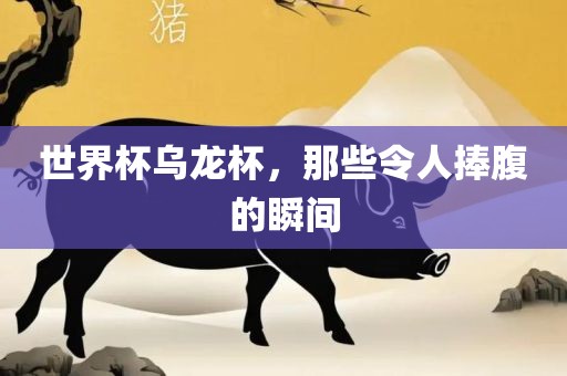 世界杯乌龙杯,那些令人捧腹的瞬间