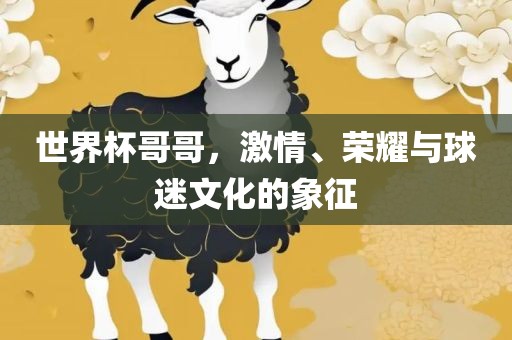 世界杯哥哥,激情、荣耀与球迷文化的象征