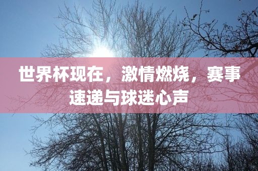世界杯现在,激情燃烧,赛事速递与球迷心声永康市本千工贸有限公司