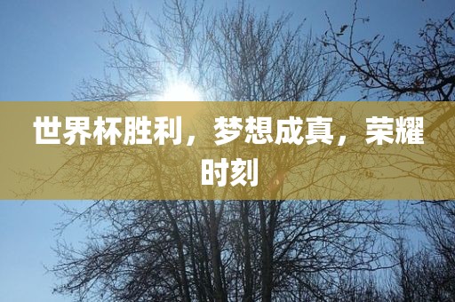 世界杯胜利,梦想成真,荣耀时刻