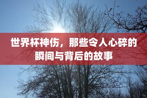 世界杯神伤,那些令人心碎的瞬间与背后的故事