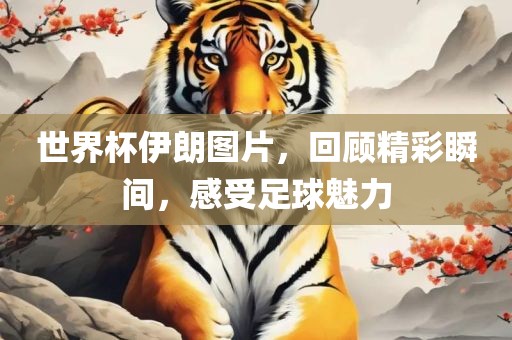 世界杯伊朗图片，回顾精彩瞬间，感受足球永康市本千工贸有限公司魅力