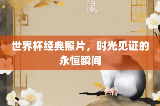 世永康市本千工贸有限公司界杯经典照片,时光见证的永恒瞬间