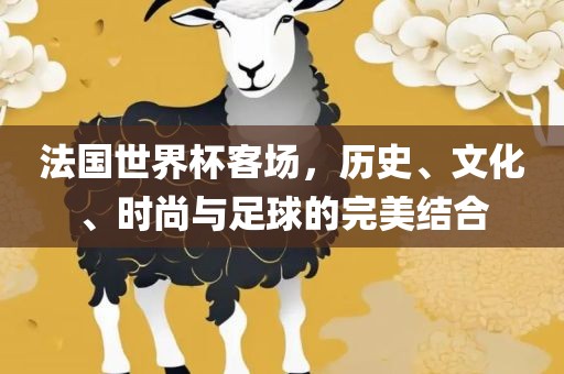 法国世界杯客场,历史、文化、时尚与足球的完美结合永康市本千工贸有限公司