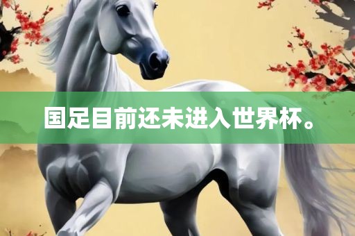 国足目永康市本千工贸有限公司前还未进入世界杯。