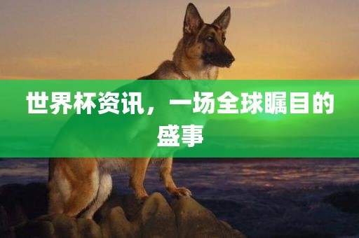 世界杯资讯,一场全球瞩目的盛事