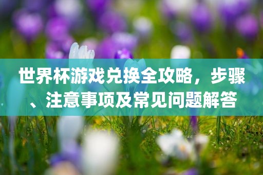 世界杯游戏兑换全永康市本千工贸有限公司攻略,步骤、注意事项及常见问题解答