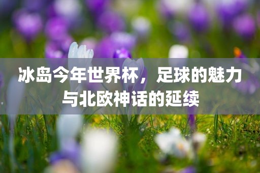 冰岛今年世界杯,足球的魅力与北欧神话的延续