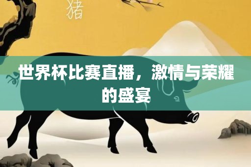 世界杯比赛直播,激情与荣耀的盛宴永康市本千工贸有限公司