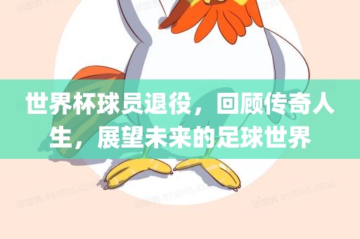 世界杯球员退役，回顾传奇人生，展望未来的永康市本千工贸有限公司足球世界