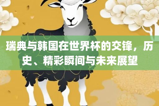 瑞典与韩国在世界杯的交锋,历史、精彩瞬间与未来展望永康市本千工贸有限公司