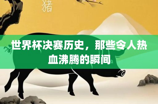 世界杯决赛历史，那些令人热血沸腾的瞬间永康市本千工贸有限公司