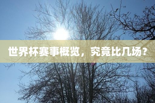 世界杯赛永康市本千工贸有限公司事概览,究竟比几场?