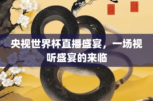 央视世界杯直播盛宴,一场视听盛宴的来临永康市本千工贸有限公司