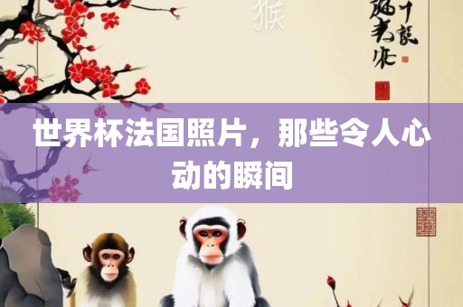 世界杯法国照片，那些令人心动的瞬间