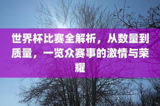 世界杯比赛全解析，永康市本千工贸有限公司从数量到质量，一览众赛事的激情与荣耀