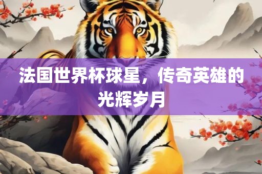 法国世界杯球星,传奇英雄的光辉岁月永康市本千工贸有限公司