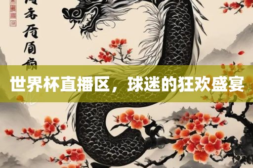 世界杯直播区,球迷的狂欢盛宴