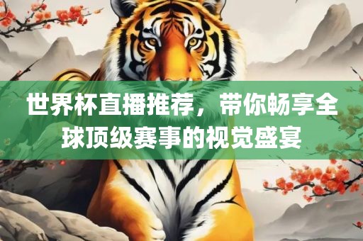 世界杯直播推荐,带你畅享全球顶级赛事的视觉盛宴
