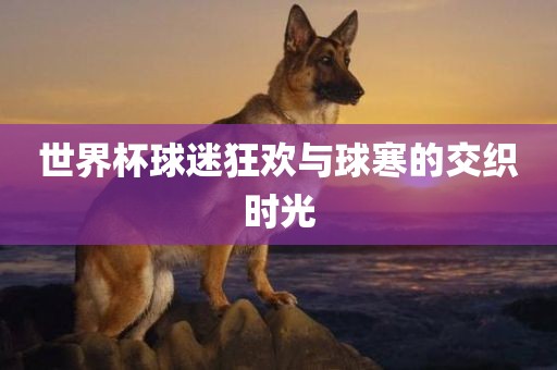 世界杯球迷狂欢与球寒的交织时光永康市本千工贸有限公司