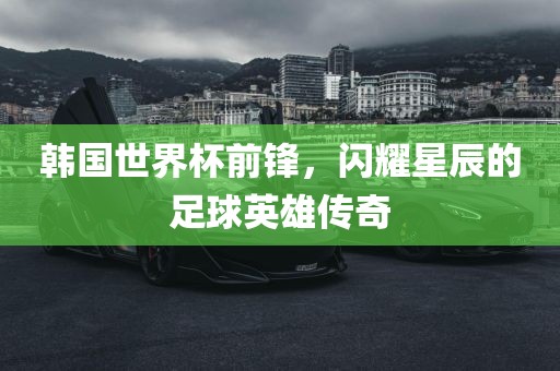 韩国世界杯前锋，闪耀星辰的足球英雄传奇