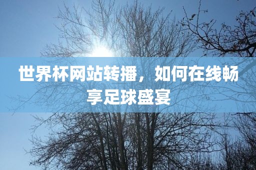 世界杯网站转播,如何在线畅享足球盛宴永康市本千工贸有限公司