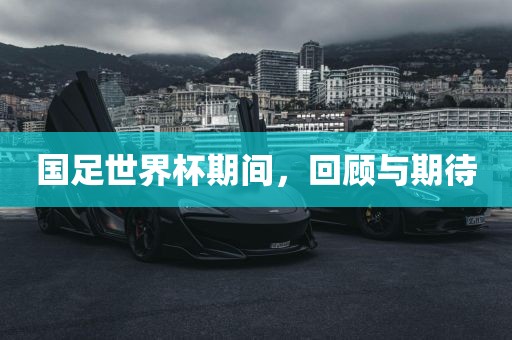 国足世界杯期间,回顾与期待