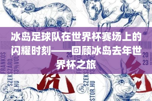 冰岛足球队在世界杯赛场上的闪耀时刻——回顾冰岛去年世界杯之旅