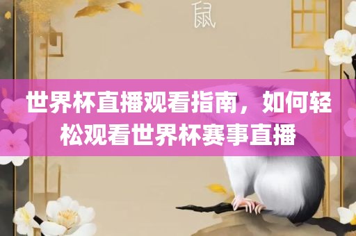 世界杯直播观看指南,如何轻松观看世界杯赛事直播