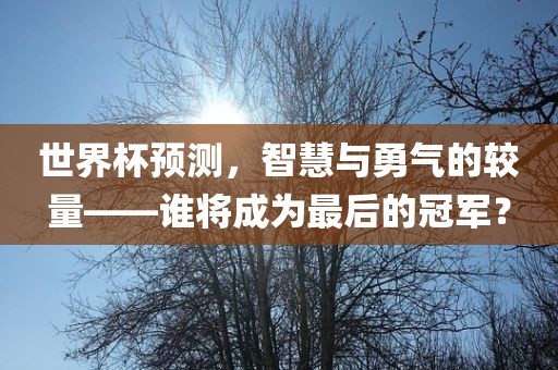 世界杯预测，智慧与勇气的较量——谁将成为最后的冠军？永康市本千工贸有限公司