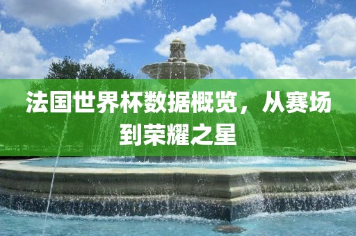 法国世界杯数据概览，从赛场到荣耀之星永康市本千工贸有限公司